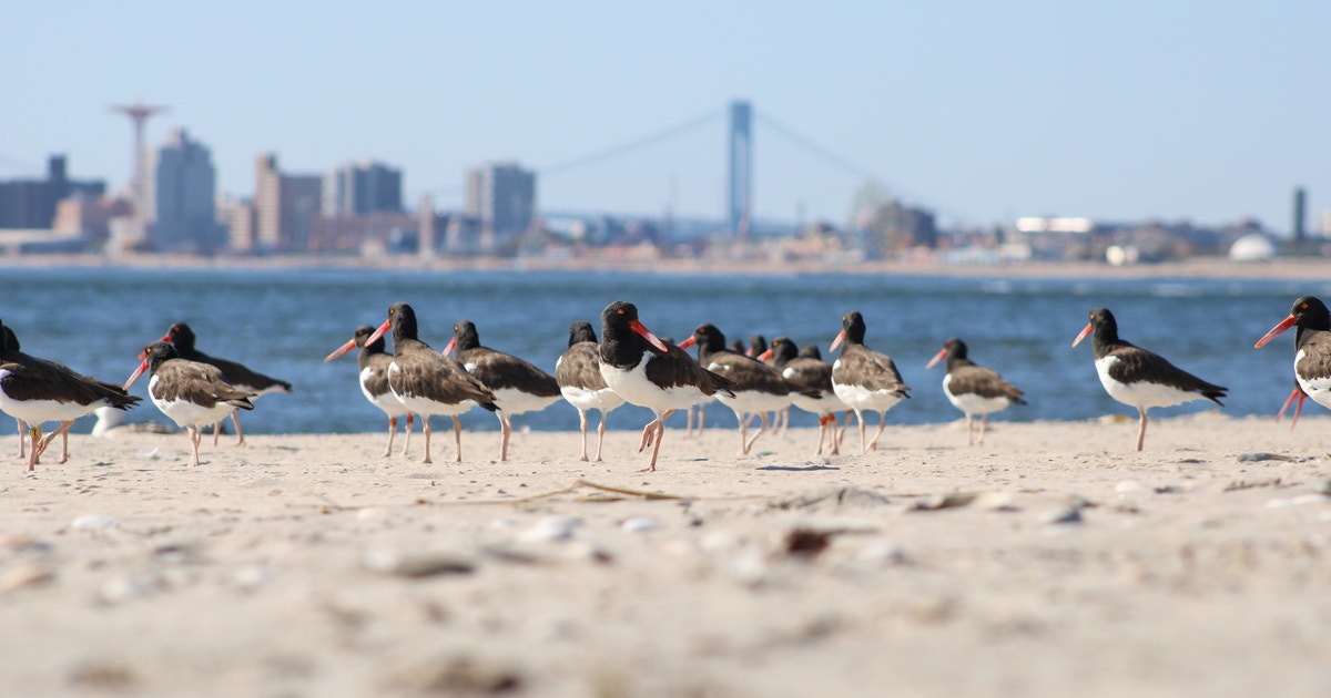 New Legislation Offers Vital Support for Habitat Conservation in Cities and Towns New Legislation Offers Vital Support for Habitat Conservation in Cities and Towns