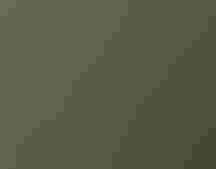 people hiking in the woods