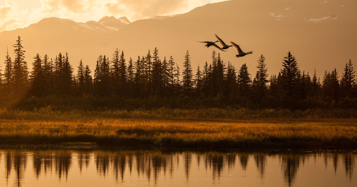 Audubon Taps Global Climate Leader to Drive Bold Policy Agenda Audubon Taps Global Climate Leader to Drive Bold Policy Agenda