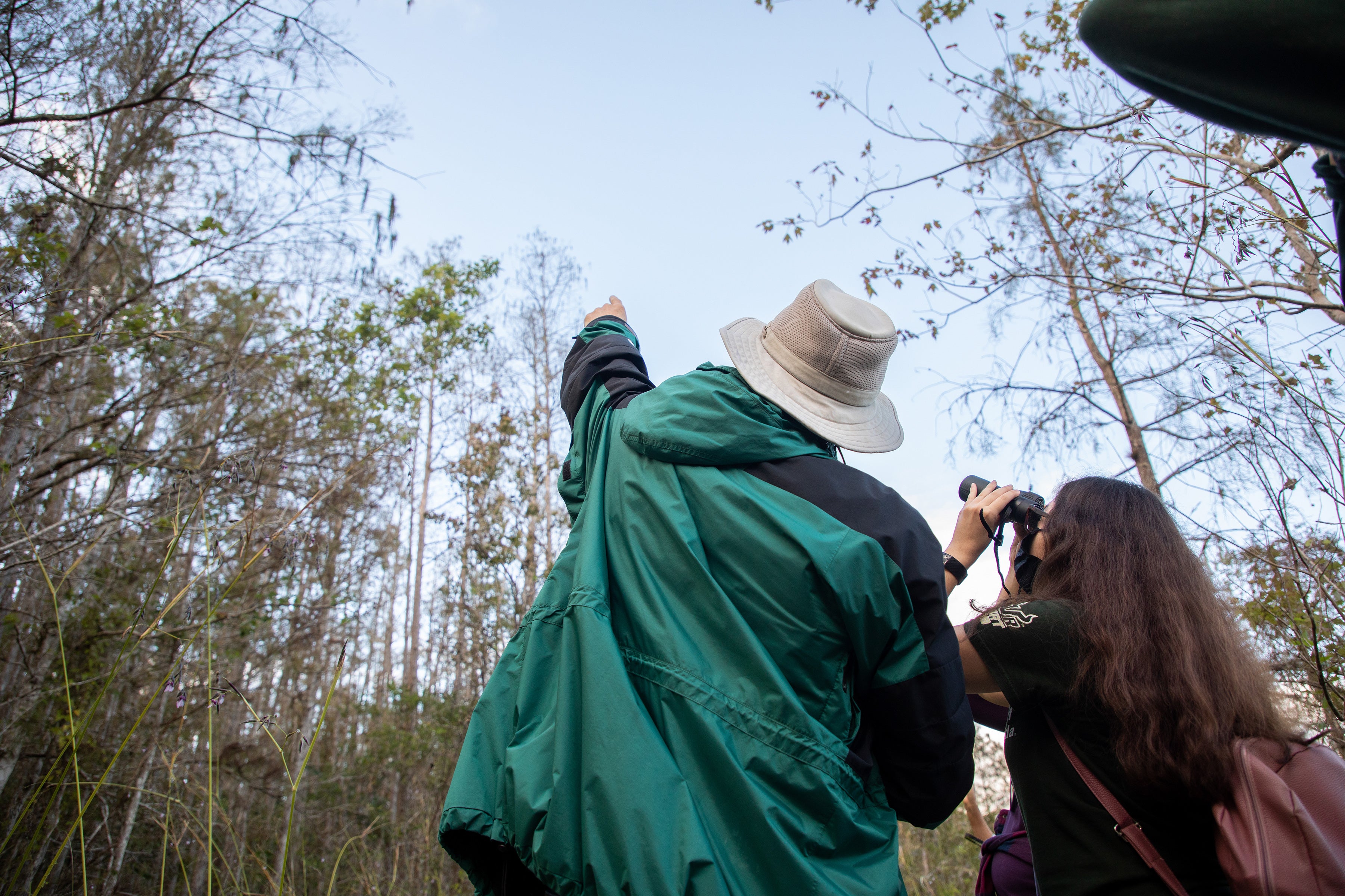 A person looks up at a tree with binoculars while the person next to her points up at it.