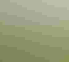 People with binoculars walk on a trail.