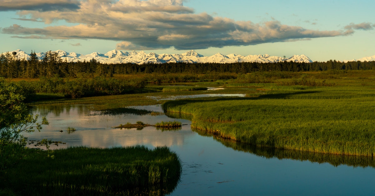Strength to Endure | Audubon Strength to Endure | Audubon