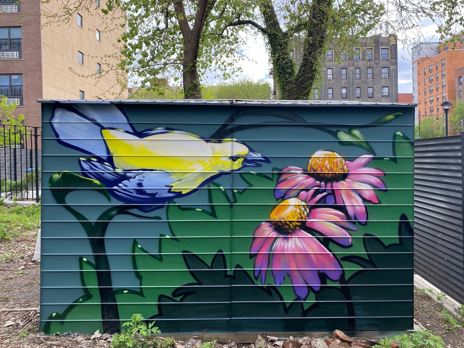 A garden shed painted with a Blue-winged Warbler on the left and two purple coneflowers on the right. 