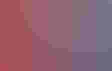 A person holding a female cardinal affixes a metal band around her leg.