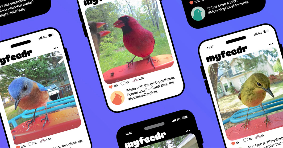 Smart Bird Feeders Connect Us to Wildlife —and Each Other—Like Never Before Smart Bird Feeders Connect Us to Wildlife —and Each Other—Like Never Before