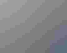 people sitting on the sand to carefully band birds