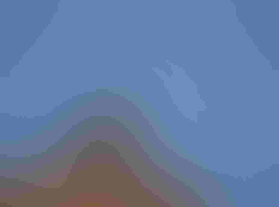 Northern Bobwhite.  Photo: Thomas Hellinger/Audubon Photography Awards. A northern bobwhite quail with blue sky in the background