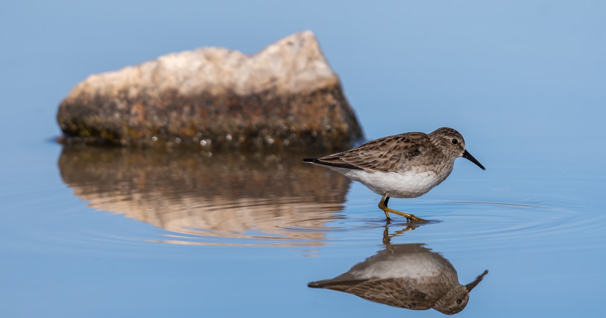 Arizonans Support Collaboration, Investments in Water Arizonans Support Collaboration, Investments in Water