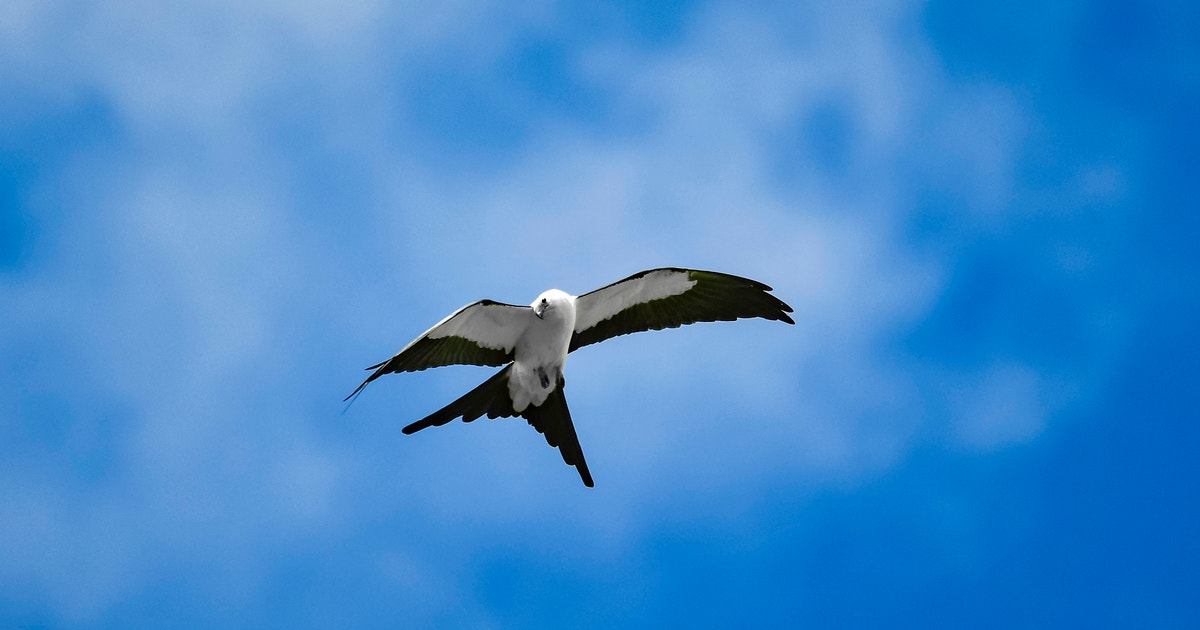 Enjoy Free Admission and Programs in Honor of Latino Conservation Week on September 20, 2025 Enjoy Free Admission and Programs in Honor of Latino Conservation Week on September 20, 2025