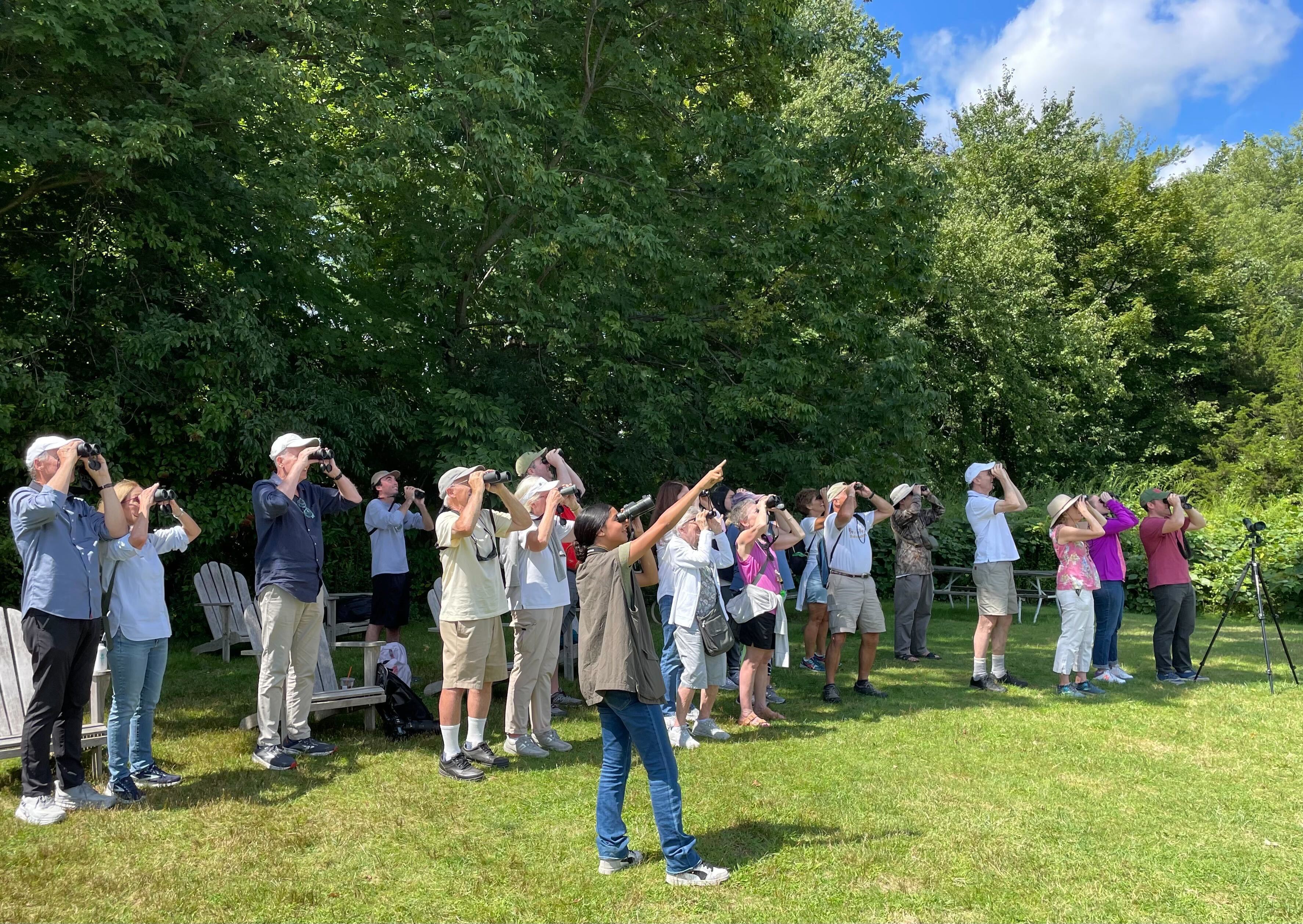 Quaker Ridge Hawk Watch at the Greenwich Audubon Center | Audubon