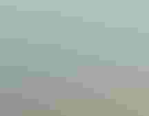 A man standing in a shallow coastal bay