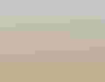 A bird of prey perched on a pipe in a grassy field