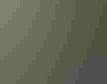 A man standing in front of a large tree