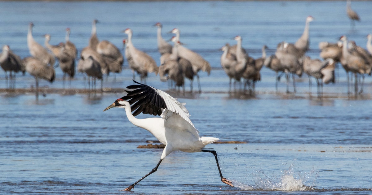 Senate Budget Bill Delivers a Blow to Clean Energy, but Public Lands Sell-Off Averted Senate Budget Bill Delivers a Blow to Clean Energy, but Public Lands Sell-Off Averted