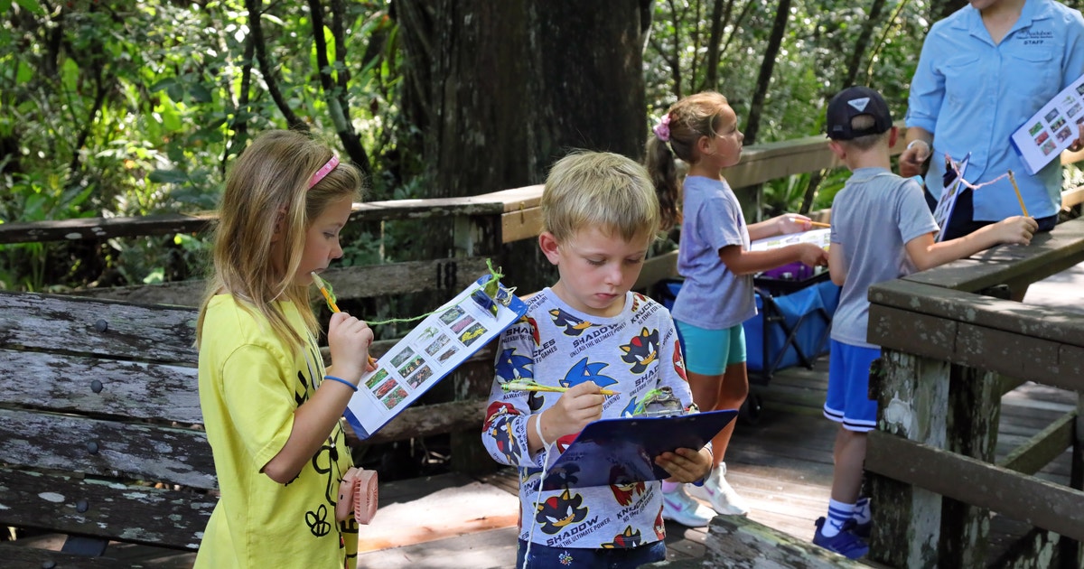Wildly Successful Adventure Camp Wraps Up at Corkscrew Swamp Sanctuary Wildly Successful Adventure Camp Wraps Up at Corkscrew Swamp Sanctuary