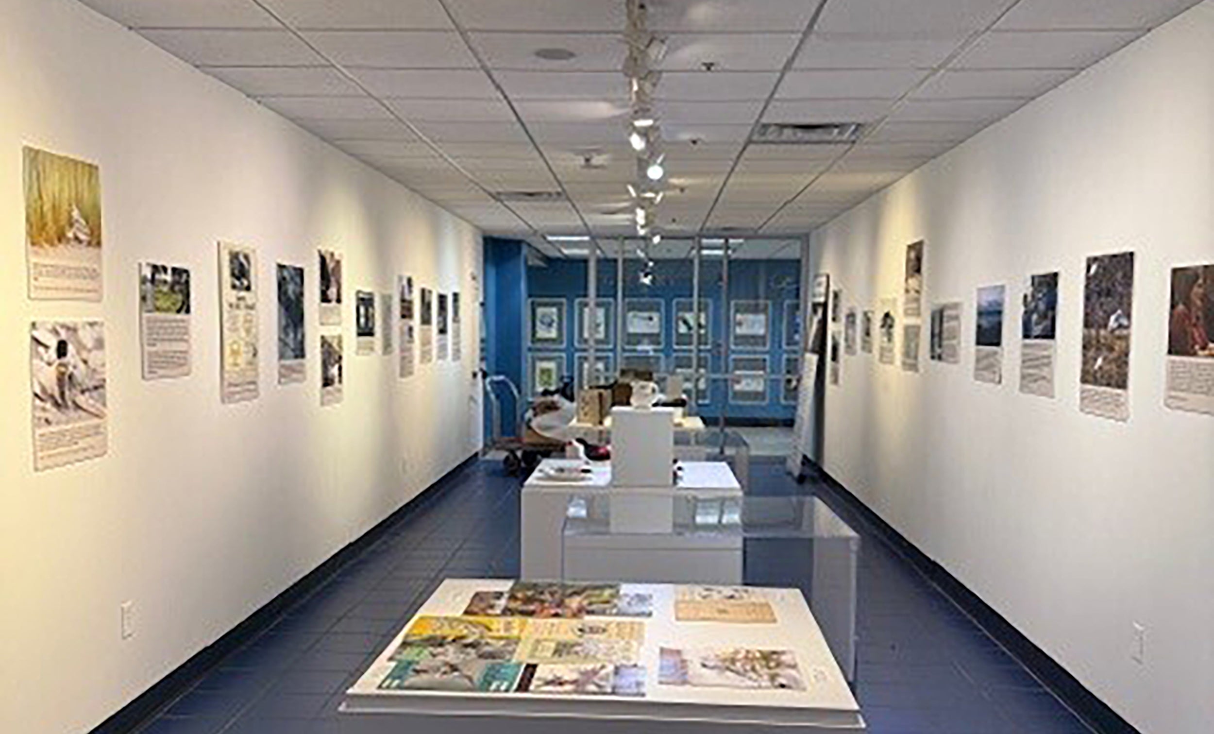 A hallway with imagery on the walls and tabletop displays