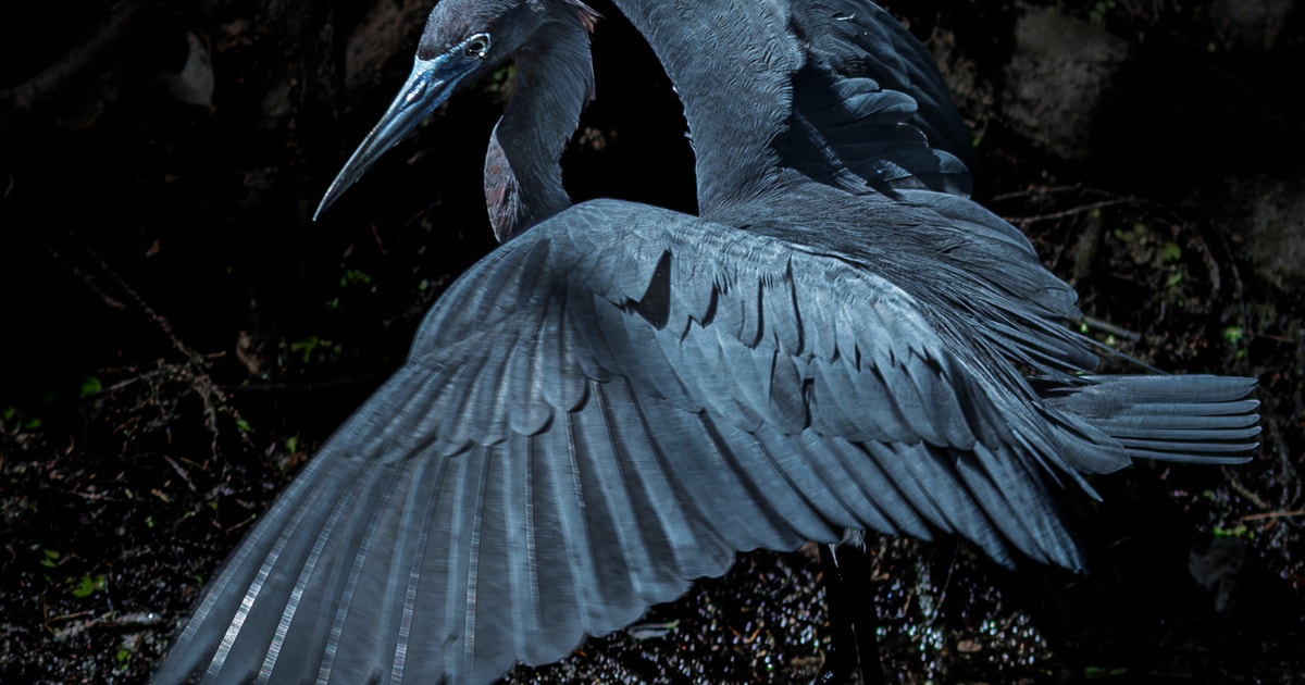 State Budget Delivers High Levels of Funding for Everglades State Budget Delivers High Levels of Funding for Everglades