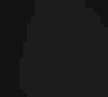 A dark blue wading bird with wings outstretched