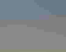 A group of people stand on the steps of the Florida Capitol