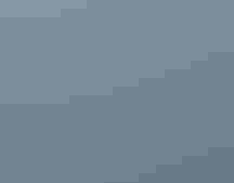 A white wading bird stands on a rocky coastline with a sailboat in the background