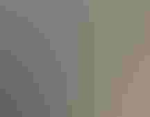 A bird of prey in a gloved hand