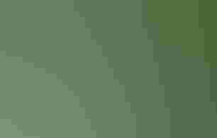 A colorful mural of birds and flowers painted on a garden shed.