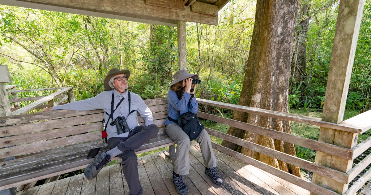 Corkscrew Swamp Sanctuary is the Place to Be for Fall Migration Corkscrew Swamp Sanctuary is the Place to Be for Fall Migration