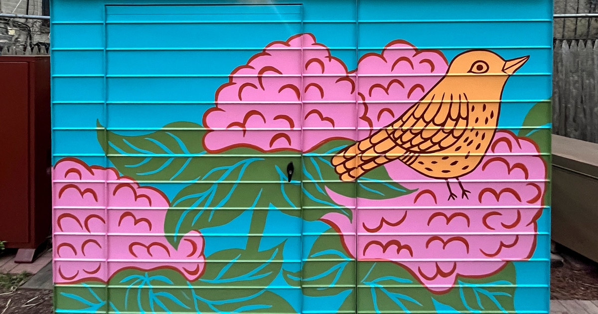 Got to House Wren by Carla Torres article