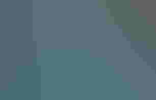 A colorful mural of a bird and flowers painted on a garden shed.