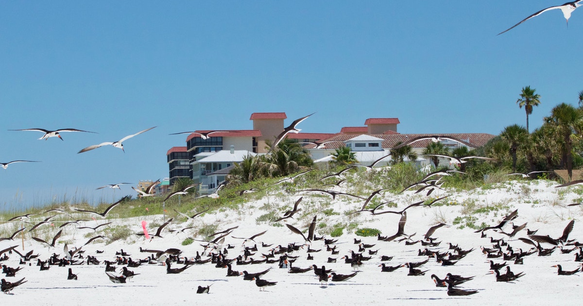 Wings and Other Things in the Air Wings and Other Things in the Air