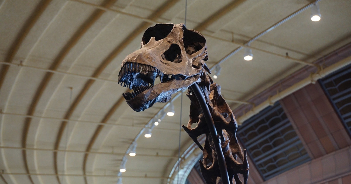 Coastal Birds Share Nesting Habits of Some Dinosaurs Coastal Birds Share Nesting Habits of Some Dinosaurs