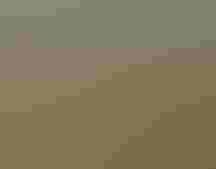 A bird's eye view of a subdivision abutting a forest.