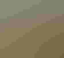 A bird's eye view of a subdivision abutting a forest.