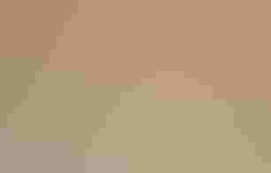 A Long-billed Curlew makes a splash in shallow water.