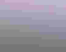 A Dusky Grouse stands on a wooden fence in front of a landscape of snow-capped mountains and a purple sky.