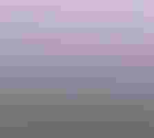 A Dusky Grouse stands on a wooden fence in front of a landscape of snow-capped mountains and a purple sky.