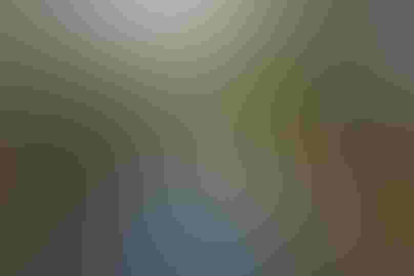 Jordan River. Photo: Shaela Adams/Audubon