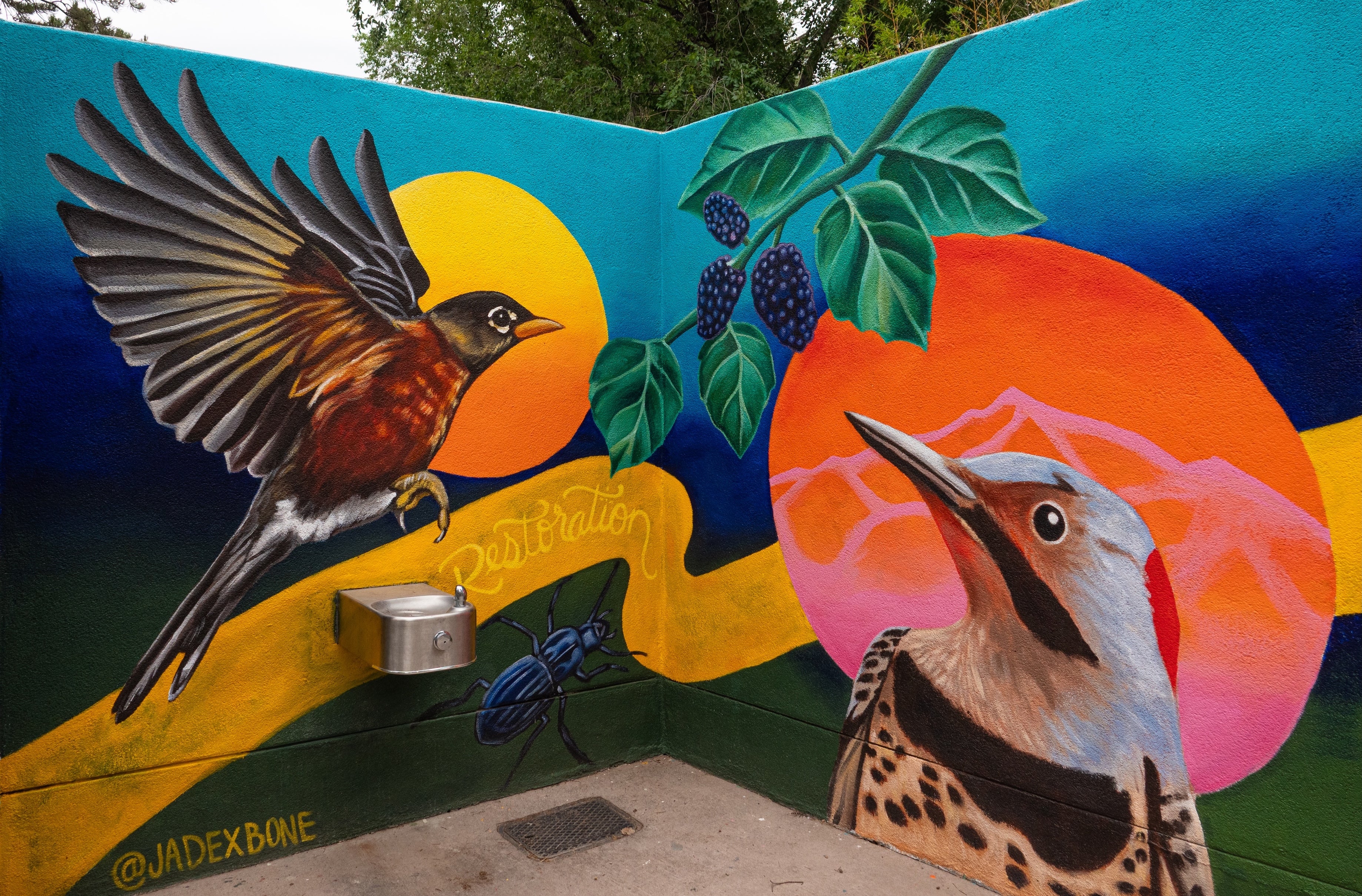 A colorful mural of a robin and woodpecker covers a wall outside.
