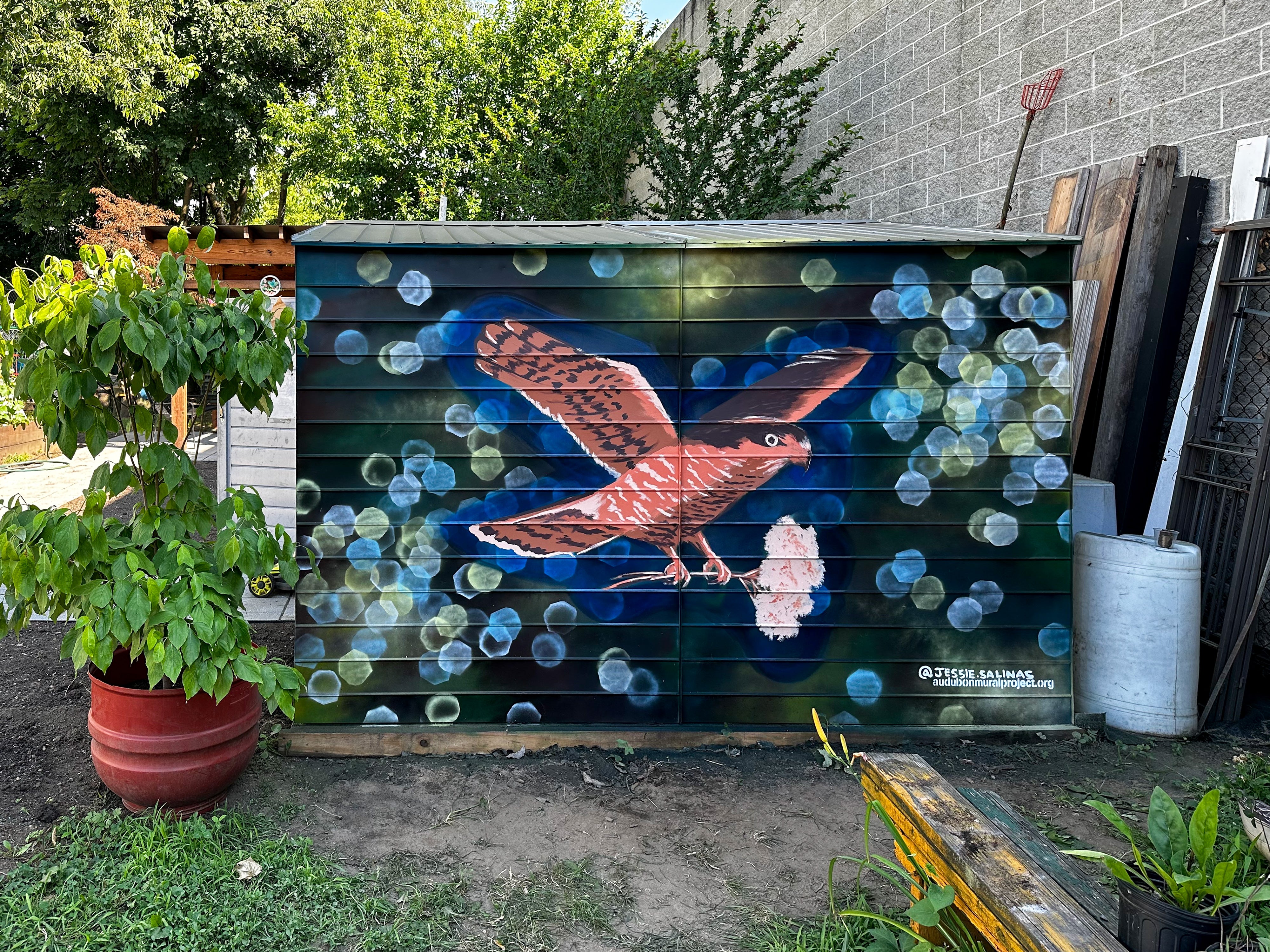 A mural of a hawk carrying a plant on a dark background painted on a garden shed.
