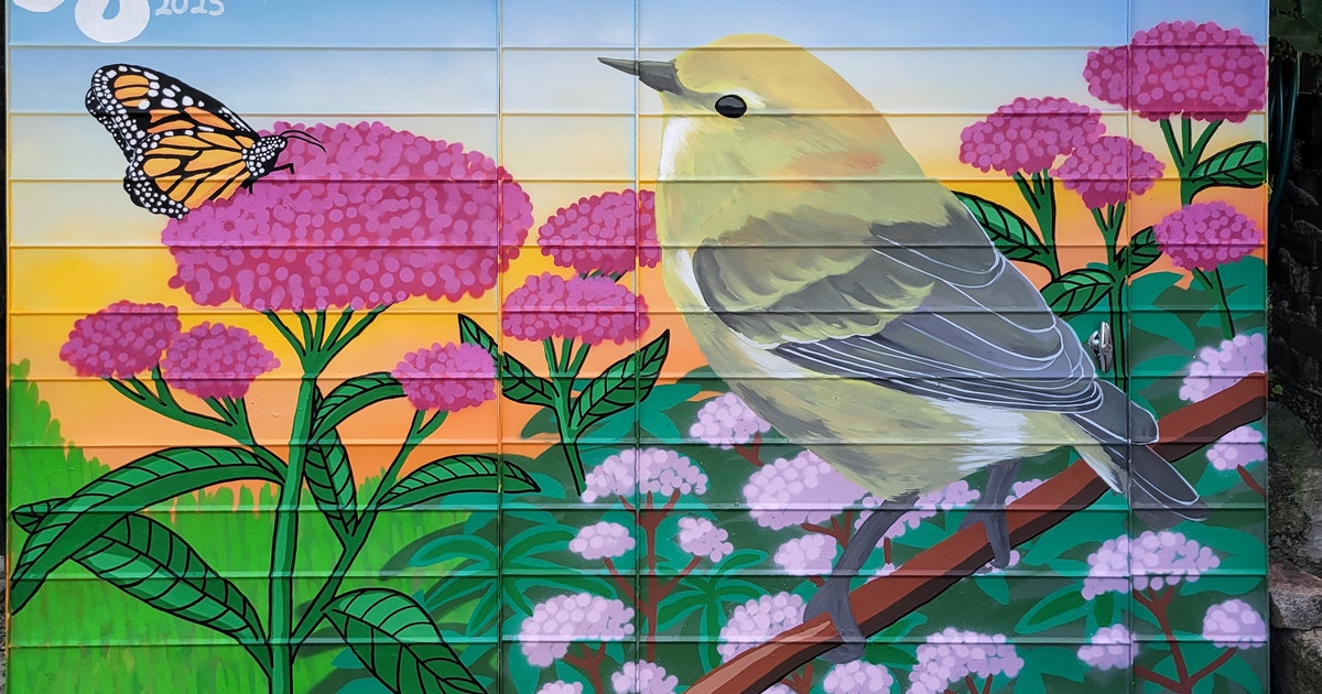 Tennessee Warbler by Talisa Almonte Tennessee Warbler by Talisa Almonte