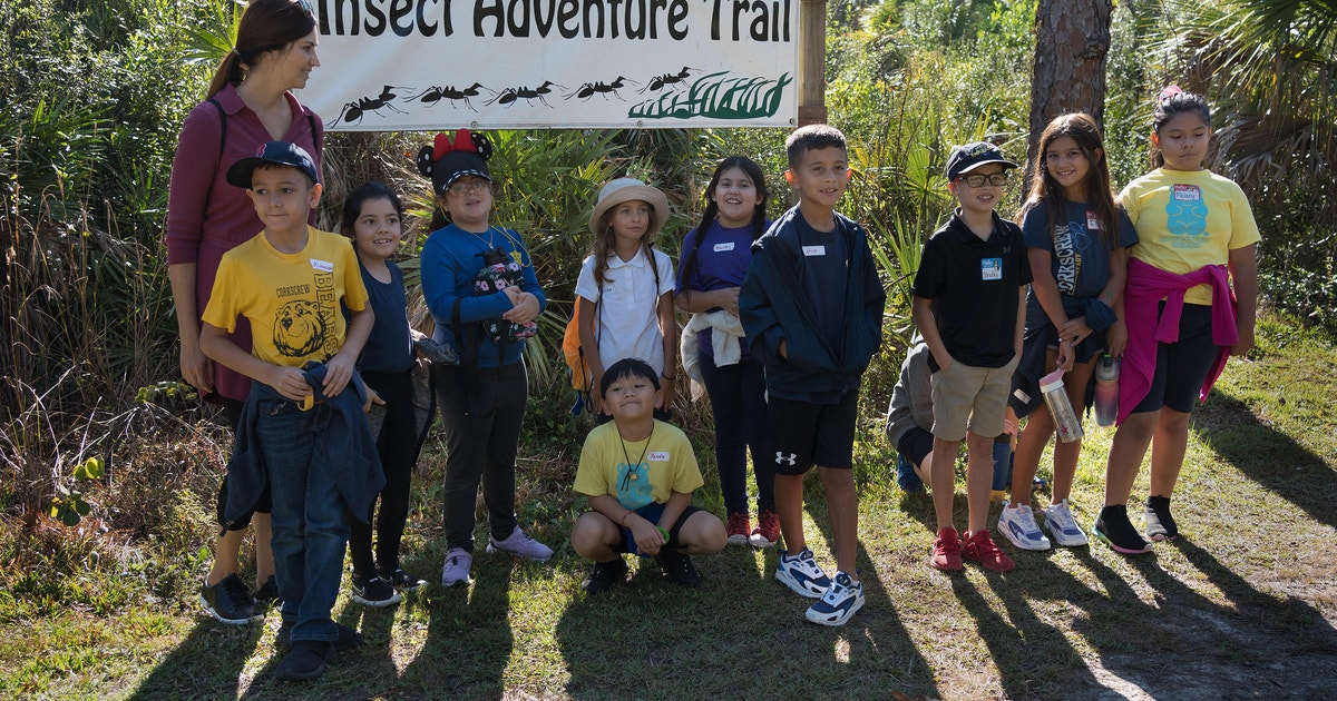 Insect Adventure Insect Adventures for Second Graders | Audubon