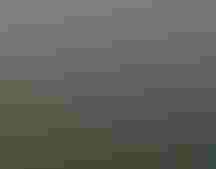 Aerial view of a forest