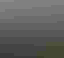 Aerial view of a forest