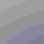 Haley Paul, Arizona Policy Director