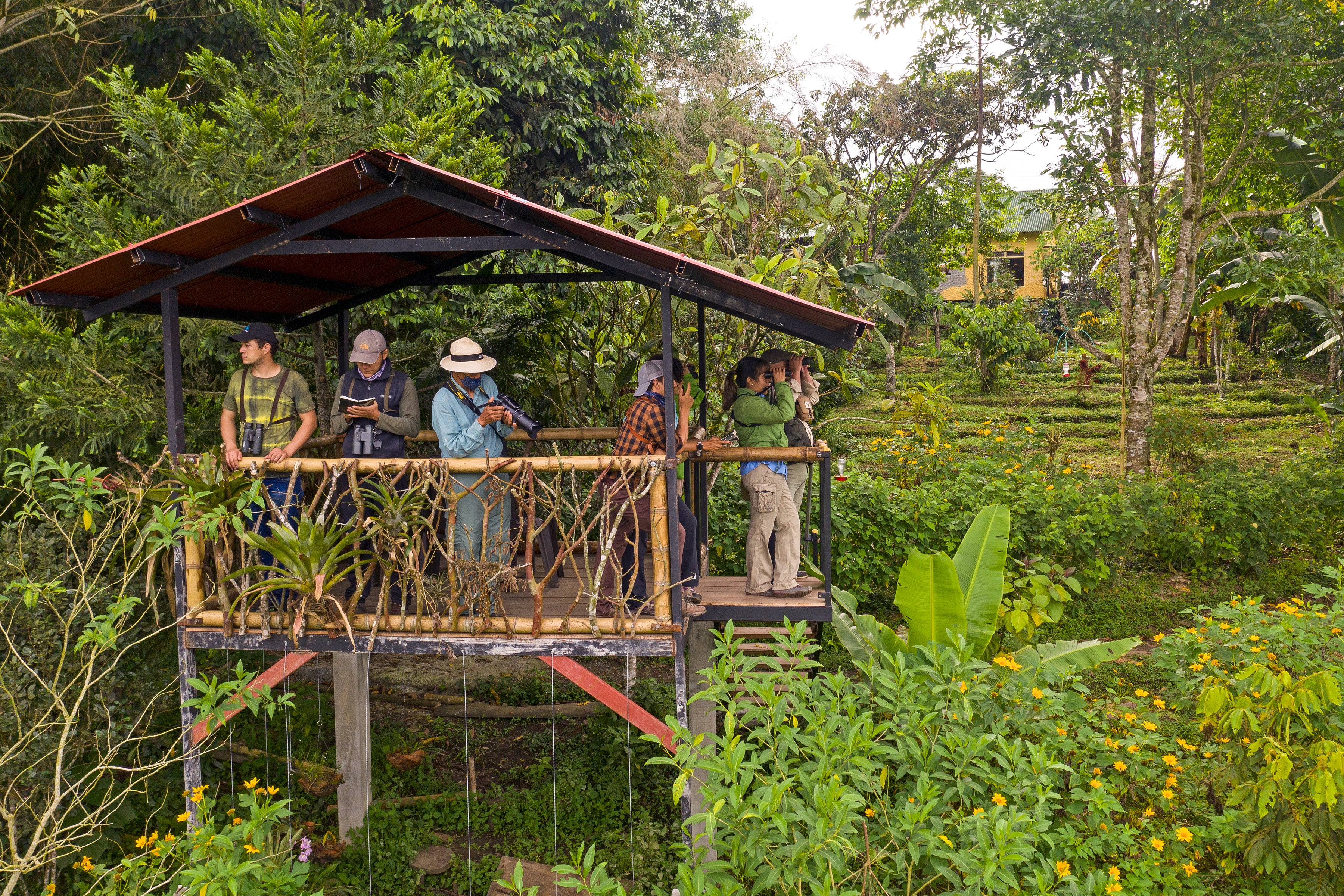 People with binoculars in a raised, covered pavilion surrounded by lush, tropical gardens and trees.