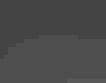 Students looking at insects in an outdoor setting