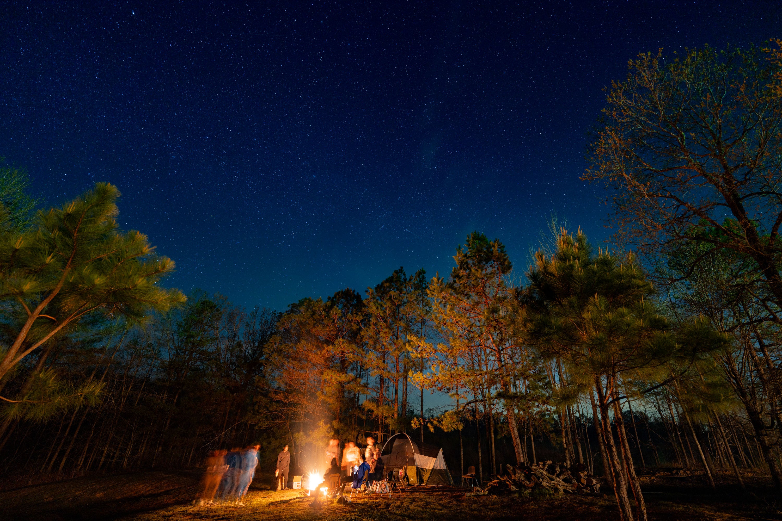 People stand around a campfire under trees and stars.