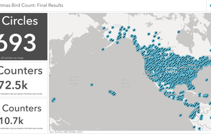 The 125th Christmas Bird Count Summary