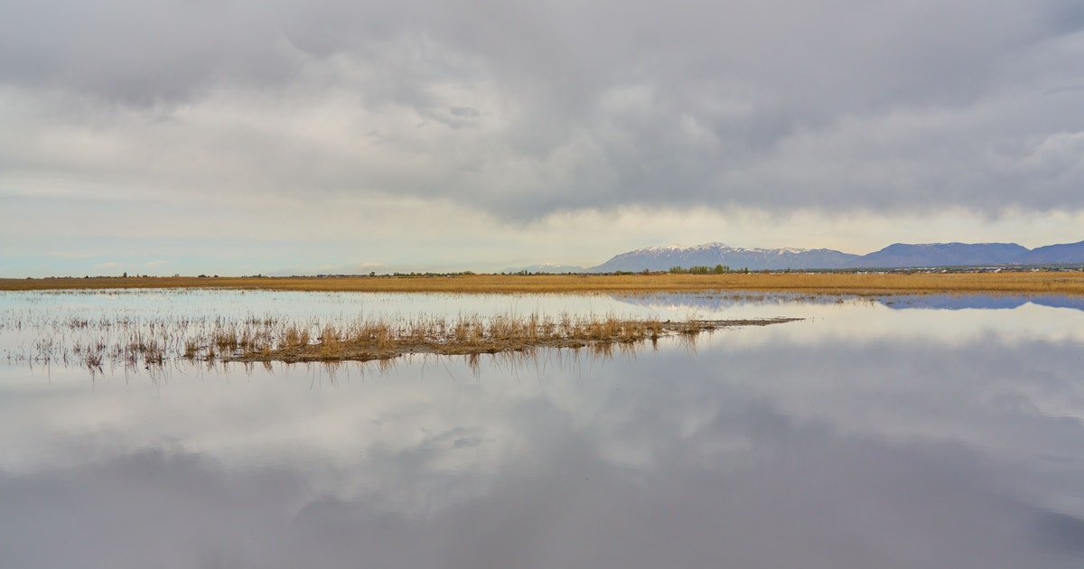 Wetland Restoration Funding Returns Ecological Health to One Habitat Wetland Restoration Funding Returns Ecological Health to One Habitat