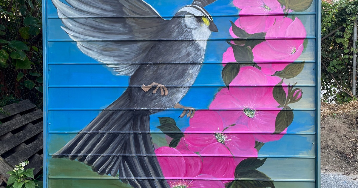 White-throated Sparrow by Maggie Rodriguez White-throated Sparrow by Maggie Rodriguez